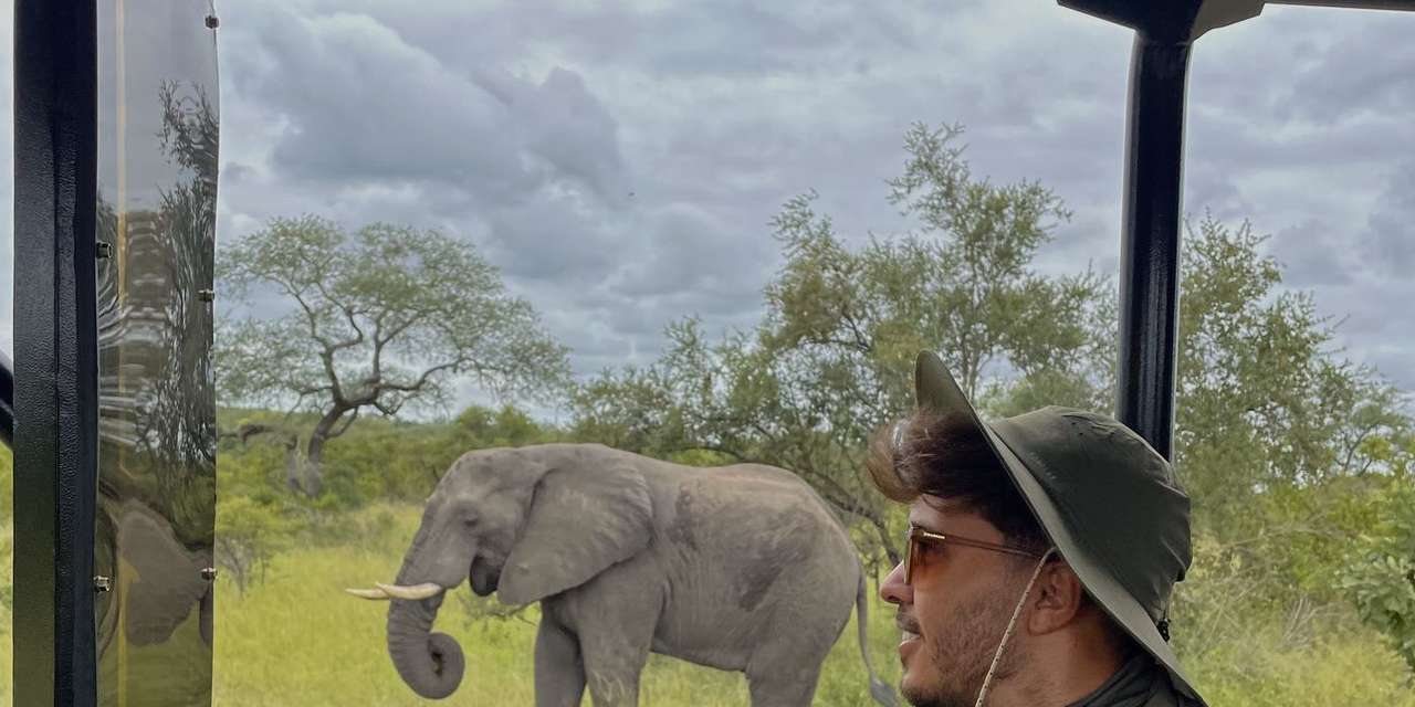 Safári no Kruger, África do Sul
